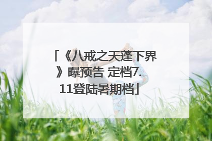 《八戒之天蓬下界》曝预告 定档7.11登陆暑期档