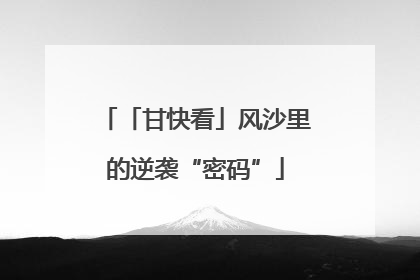 「甘快看」风沙里的逆袭“密码”