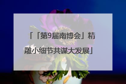 「第9届南博会」精雕小细节共谋大发展