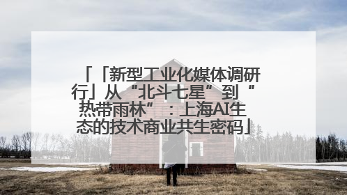 「新型工业化媒体调研行」从“北斗七星”到“热带雨林”：上海AI生态的技术商业共生密码