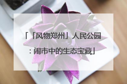 「风物郑州」人民公园：闹市中的生态宝藏