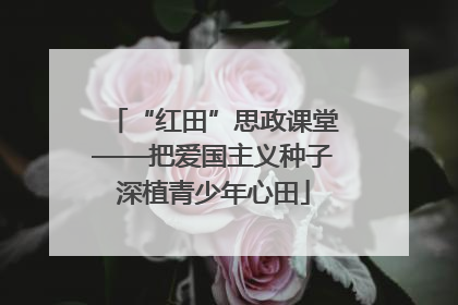 “红田”思政课堂——把爱国主义种子深植青少年心田
