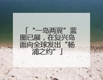 “一岛两翼”蓝图已展，在复兴岛面向全球发出“杨浦之约”