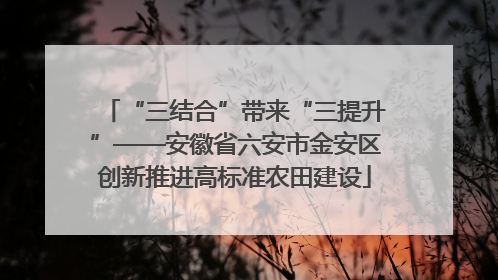 “三结合”带来“三提升”——安徽省六安市金安区创新推进高标准农田建设