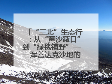 “三北”生态行：从“黄沙蔽日”到“绿毯铺野”——浑善达克沙地的“绿色重生”