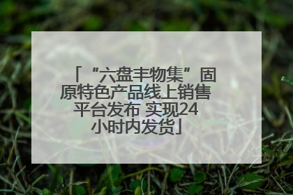 “六盘丰物集”固原特色产品线上销售平台发布 实现24小时内发货