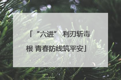 “六进” 利刃斩毒根 青春防线筑平安
