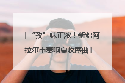 “孜”味正浓！新疆阿拉尔市奏响夏收序曲