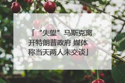 “失望”马斯克离开特朗普政府 媒体称当天两人未交谈
