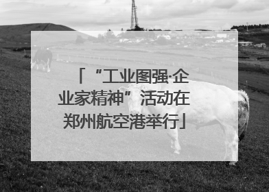 “工业图强·企业家精神”活动在郑州航空港举行