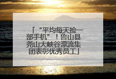 “平均每天捡一部手机”！鲁山县尧山大峡谷漂流集团表彰优秀员工
