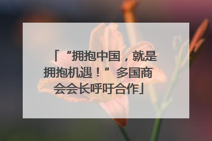 “拥抱中国，就是拥抱机遇！”多国商会会长呼吁合作