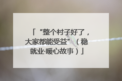 “整个村子好了，大家都能受益”（稳就业·暖心故事）
