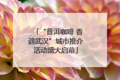 “普洱咖啡 香遇武汉”城市推介活动盛大启幕