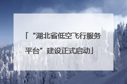 “湖北省低空飞行服务平台”建设正式启动