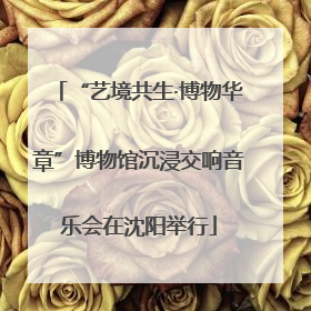 “艺境共生·博物华章”博物馆沉浸交响音乐会在沈阳举行