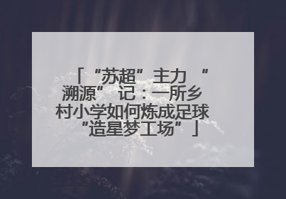 “苏超”主力 “溯源” 记：一所乡村小学如何炼成足球 “造星梦工场”