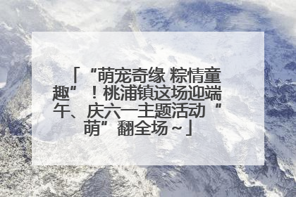 “萌宠奇缘 粽情童趣”！桃浦镇这场迎端午、庆六一主题活动“萌”翻全场～