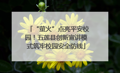 “萤火”点亮平安校园！五莲县创新宣讲模式筑牢校园安全防线