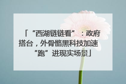 “西湖链链看”：政府搭台，外骨骼黑科技加速“跑”进现实场景