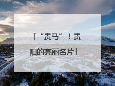 “贵马”！贵阳的亮丽名片