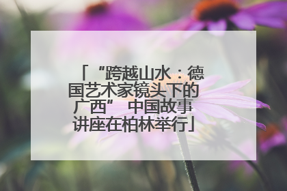 “跨越山水：德国艺术家镜头下的广西” 中国故事讲座在柏林举行