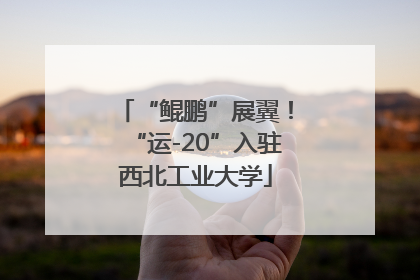“鲲鹏”展翼！“运-20”入驻西北工业大学