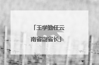 王学勤任云南省副省长