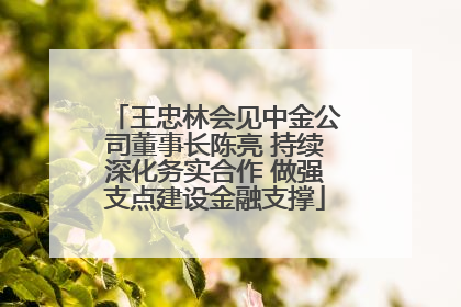 王忠林会见中金公司董事长陈亮 持续深化务实合作 做强支点建设金融支撑