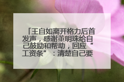 王自如离开格力后首发声，感谢董明珠给自己鼓励和帮助，回应“工资条”：清楚自己要什么，工资条不重要