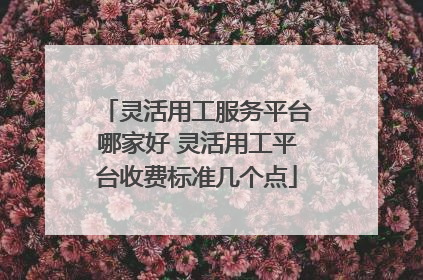 灵活用工服务平台哪家好 灵活用工平台收费标准几个点