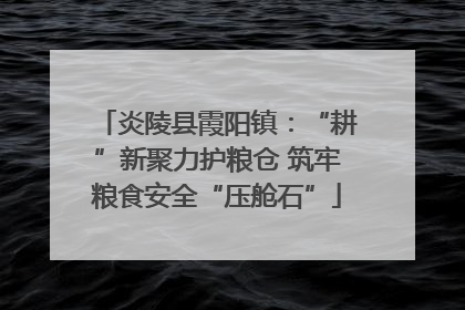 炎陵县霞阳镇：“耕”新聚力护粮仓 筑牢粮食安全“压舱石”