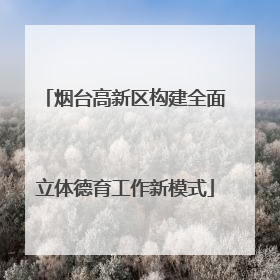 烟台高新区构建全面立体德育工作新模式
