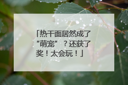 热干面居然成了“萌宠”？还获了奖！太会玩！