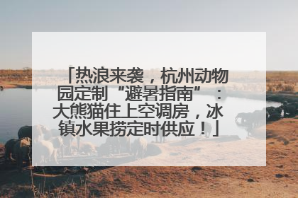 热浪来袭，杭州动物园定制“避暑指南”：大熊猫住上空调房，冰镇水果捞定时供应！