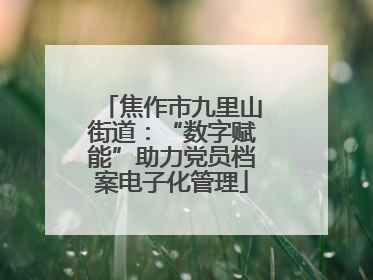 焦作市九里山街道：“数字赋能”助力党员档案电子化管理