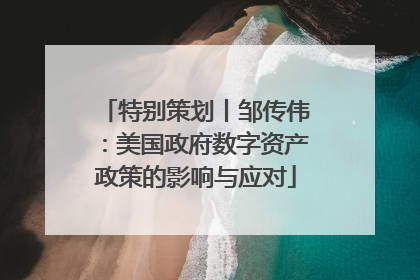 特别策划丨邹传伟：美国政府数字资产政策的影响与应对