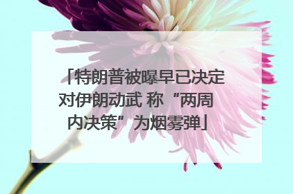 特朗普被曝早已决定对伊朗动武 称“两周内决策”为烟雾弹