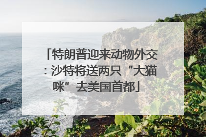 特朗普迎来动物外交：沙特将送两只“大猫咪”去美国首都