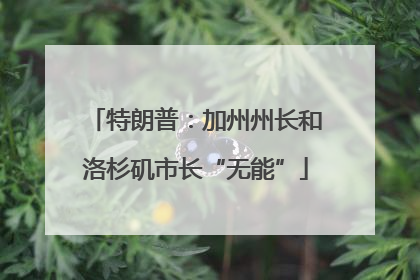 特朗普：加州州长和洛杉矶市长“无能”