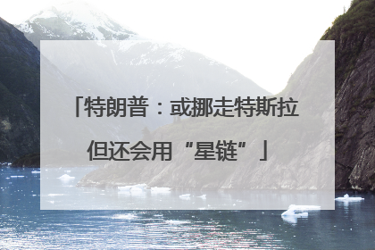特朗普：或挪走特斯拉 但还会用“星链”