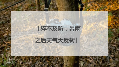 猝不及防，暴雨之后天气大反转