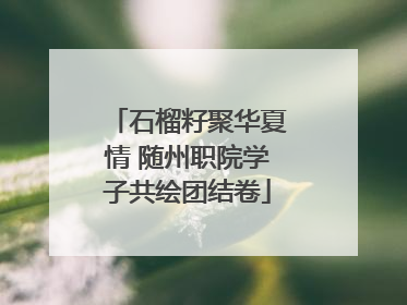 石榴籽聚华夏情 随州职院学子共绘团结卷