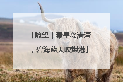 瞭望｜秦皇岛港湾，碧海蓝天映煤港