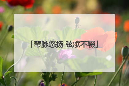 琴脉悠扬 弦歌不辍