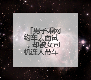 男子乘网约车去面试，却被女司机连人带车送进湖里