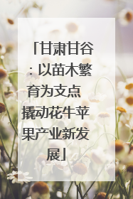 甘肃甘谷：以苗木繁育为支点 撬动花牛苹果产业新发展