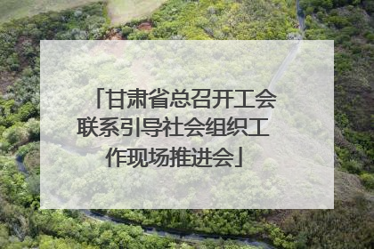 甘肃省总召开工会联系引导社会组织工作现场推进会