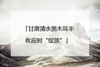 甘肃清水黑木耳丰收应时“绽放”