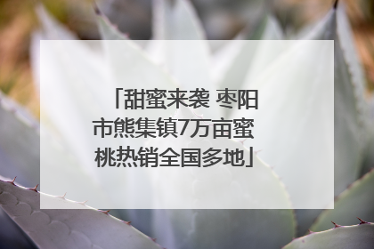 甜蜜来袭 枣阳市熊集镇7万亩蜜桃热销全国多地